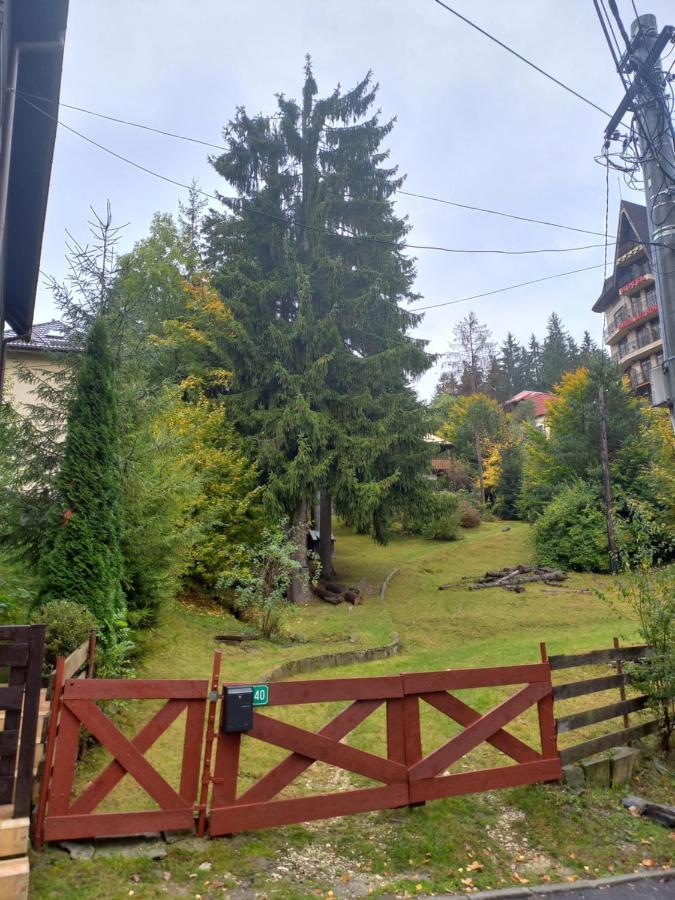 Apartament Apartament Aosta Central Sinaia Zewnętrze zdjęcie