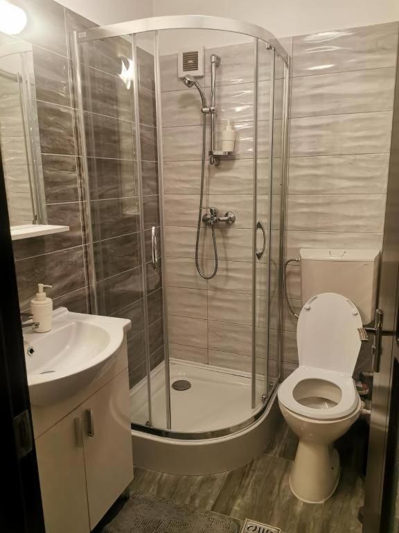 Apartament Apartament Aosta Central Sinaia Zewnętrze zdjęcie